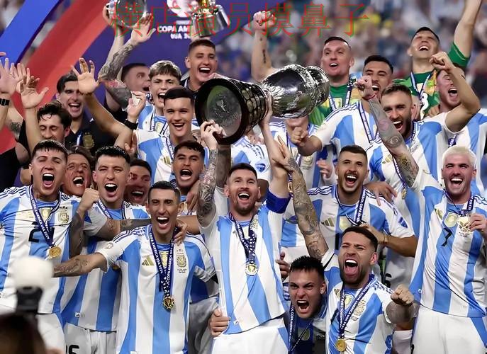 2026世界杯背景下的世界杯买球平台整理与直播入口直播解析